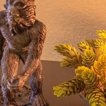 גטלינבורג Sasquatch Lodge E Sleeps 13 מראה חיצוני תמונה